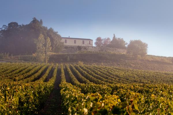 The winery at Château Quintus