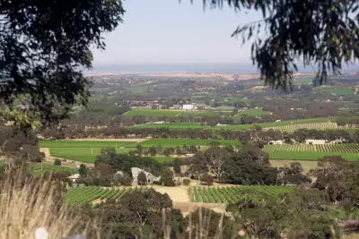 Penfolds
