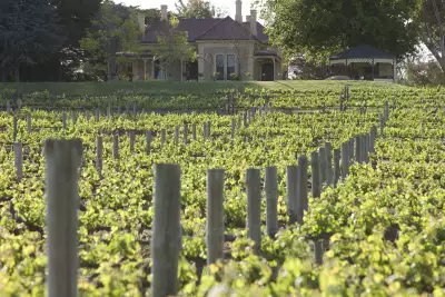 Penfolds