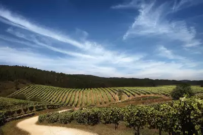 R&iacute;as Baixas