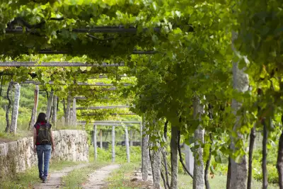 R&iacute;as Baixas