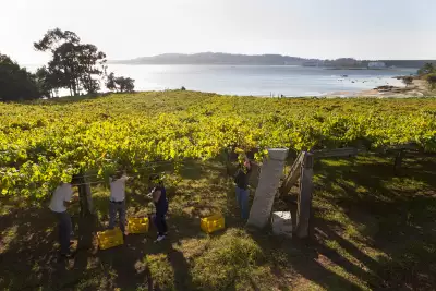 R&iacute;as Baixas