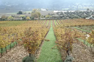 Ronda and Malaga