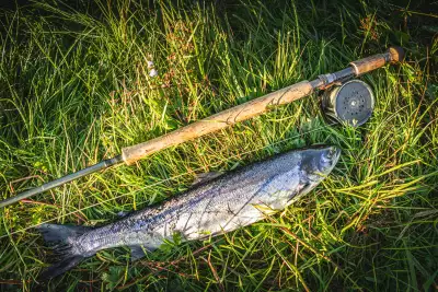 The Macnab &ndash; fishing