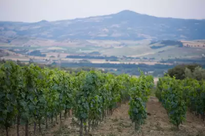 Castello di Vicarello