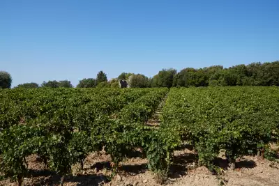 Castello di Vicarello