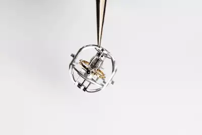 Vacheron Constantin Les Cabinotiers Armillary Tourbillon movement complication