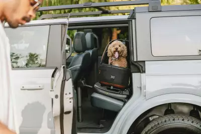 Tavo pet protection system