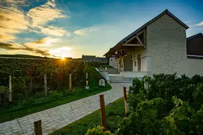 Billecart-Salmon vineyards