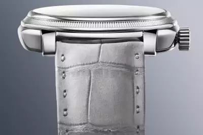 Parmigiani Fleurier Toric Quanti&egrave;me Perp&eacute;tuel watch