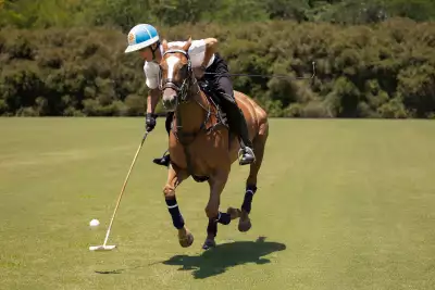 Polo player Poroto Cambiaso riding his stable of polo horses