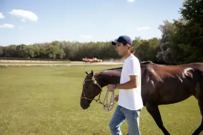 Polo player Poroto Cambiaso riding his stable of polo horses