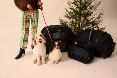 Tavo Pets Hendrick Car Seat & Carrier