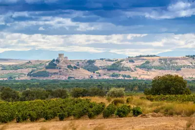 Ribera del Duero vineyard