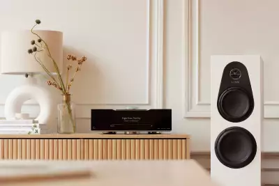 Linn 150 Loudspeaker, &pound;5,500 a pair
