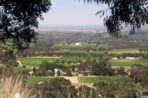 Penfolds