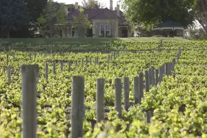 Penfolds