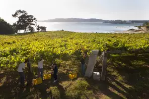 Rías Baixas