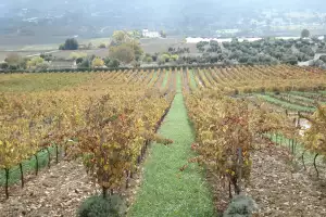 Ronda and Malaga