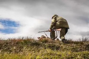 The Macnab – stag poaching