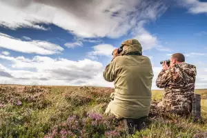 The Macnab – stag poaching