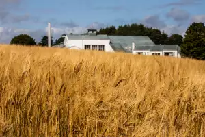 The GlenAllachie distillery