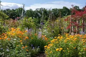 The Grove Walled Garden