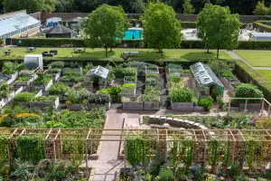 The Grove Walled Garden