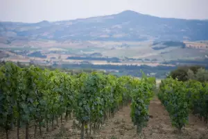 Castello di Vicarello