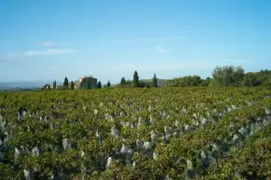 Castello di Vicarello