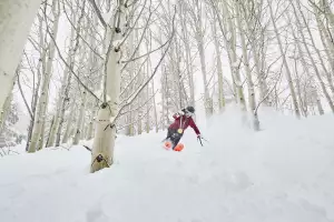 Vail