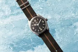 Tudor Ranger