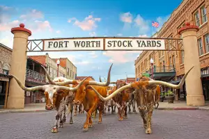 Fort Worth Stockyards