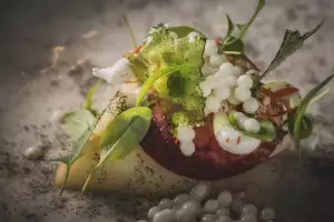 Peregrine peach lemon verbena and sweet cheese