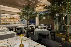 Sparrow in Mayfair