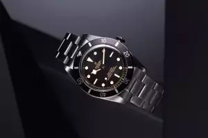 Tudor Black Bay 54