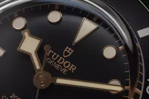 Tudor Black Bay 54