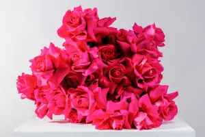 Blooming Haus rose bouquet