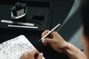 Wingback Fountain Pen