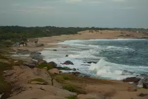 Hilton Yala Resort safari