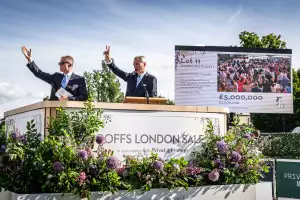 Racehorse sale Goffs Racehorse sale Goffs
