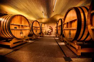 Billecart-Salmon cellars Billecart-Salmon cellars