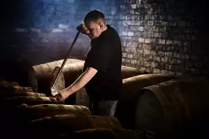 Sampling the spirit from the barrel with a whisky thief Sampling the spirit from the barrel with a whisky thief