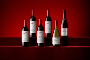 Penfolds discovery set