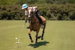 Polo player Poroto Cambiaso riding his stable of polo horses Polo player Poroto Cambiaso riding his stable of polo horses