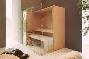 Modern sauna