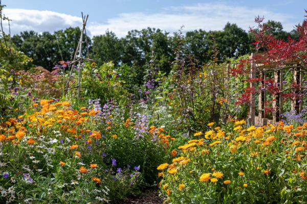 The Grove Walled Garden