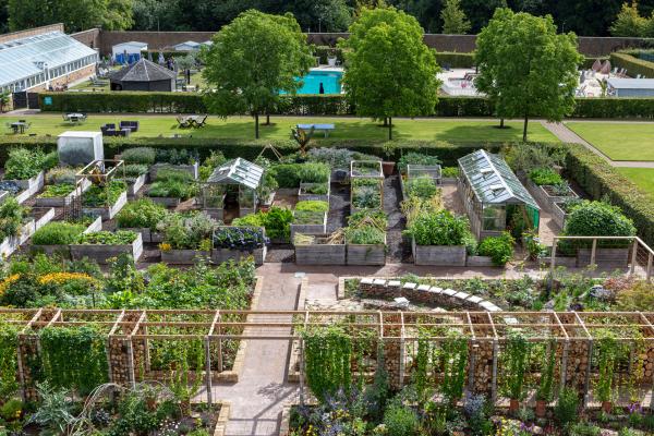 The Grove Walled Garden