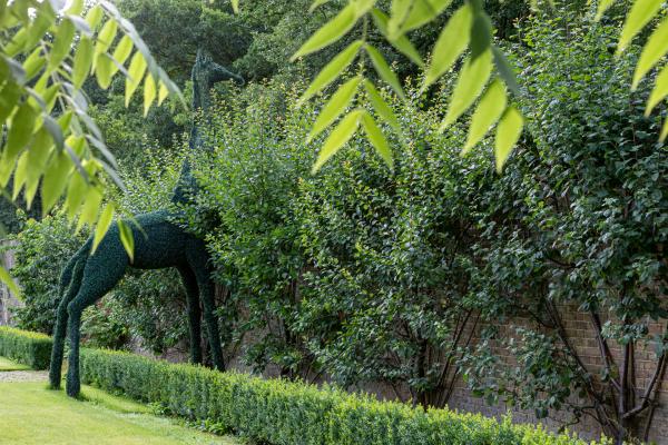 The Grove Walled Garden
