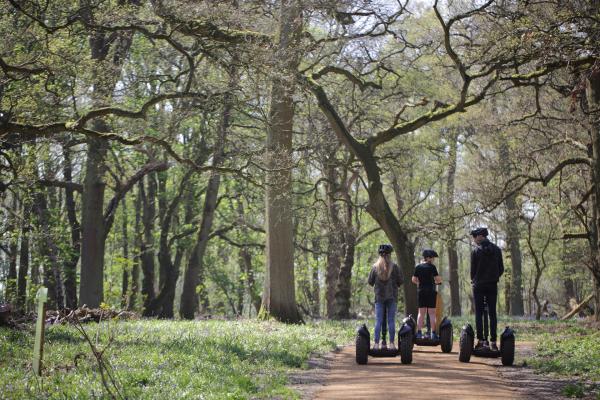 The Grove – spa and estate